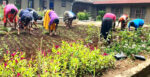 Working Towards Sustainability