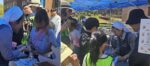 The 4th Easter Sunday – Vocational Sunday